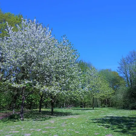 Panoramic App C09-8 Appartement *