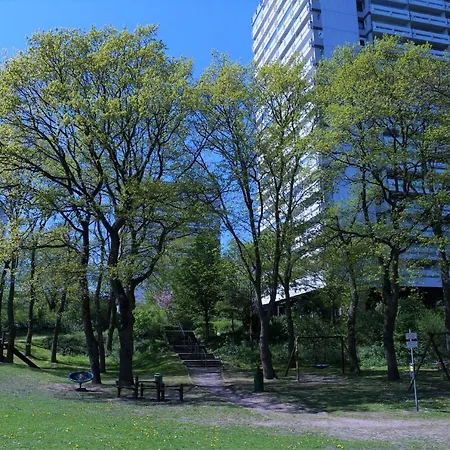 公寓 Panoramic App C09-8