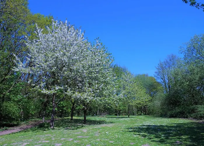 Panoramic App C09-8 Appartement *